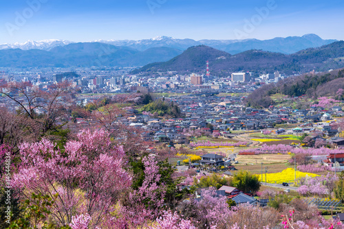 Cherry-blossom trees (Sakura) and many kinds of flowers in Hanamiyama  park and Fukushima cityscape, in Fukushima, Tohoku area, Japan. The park is very famous Sakura view spot photo