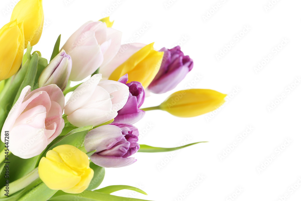 Bouquet of tulips isolated on a white Bouquet of tulips isolated on a white