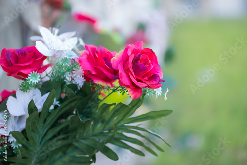 Flowers in a cemetery