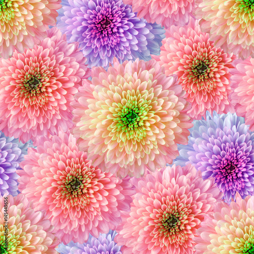 Seamless infinite  floral background. For design and printing. Background of natural chrysanthemums. Wall-papers.