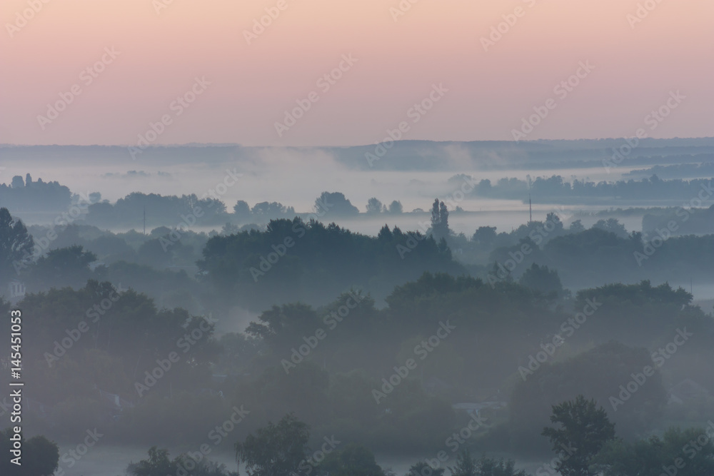 Fog Fog