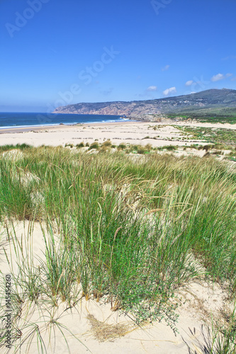 Fototapeta Naklejka Na Ścianę i Meble -  Sand dunes and beach landscape on sunny summer day