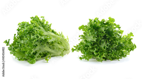 lettuce leaves isolated on white