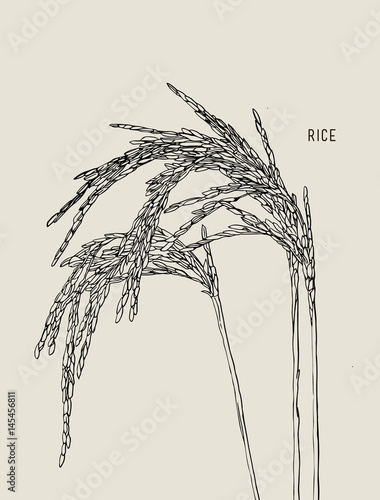 Green rice
