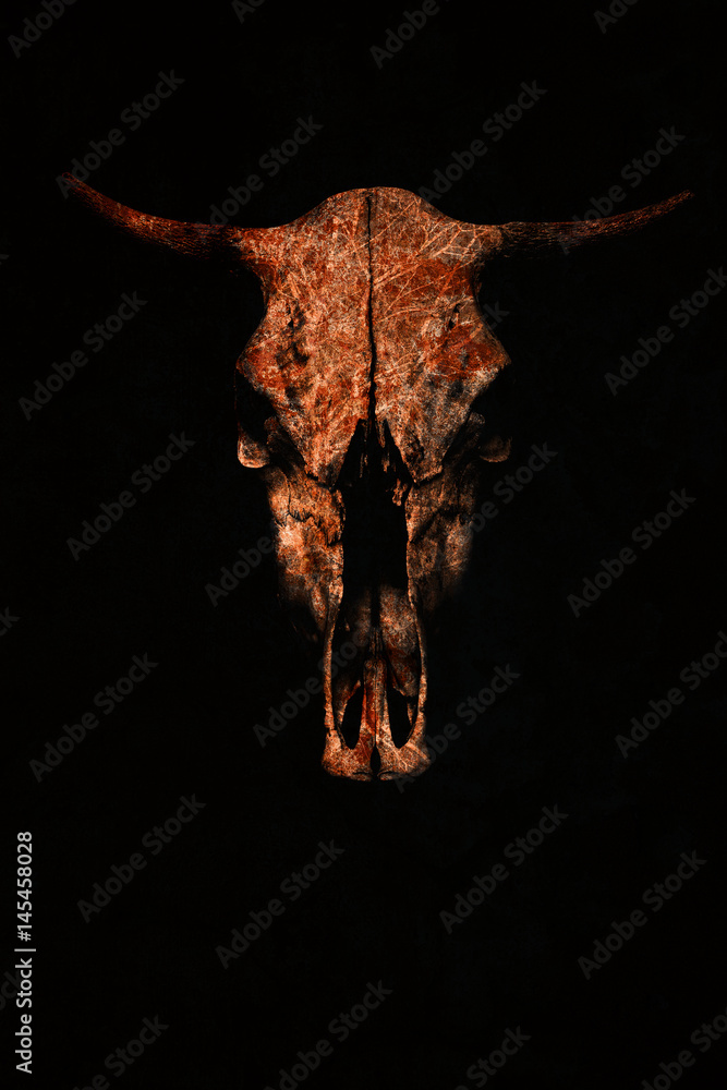 Fototapeta premium Creative red bull's skull on a black background