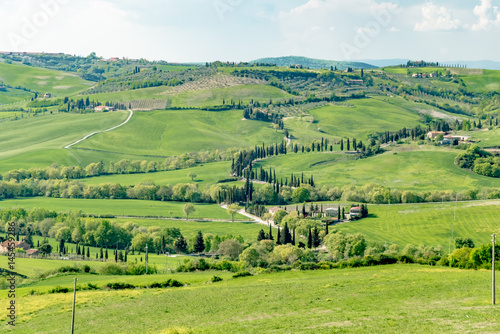 Panorama of green val d'orcia hills in tuscany italy in spring, land of red wine and cypresses