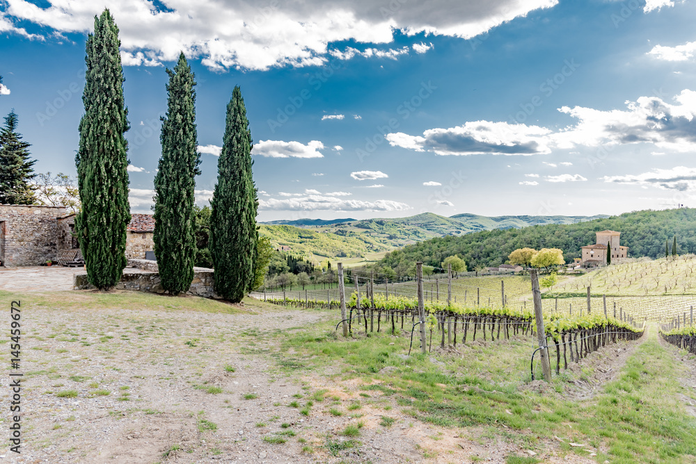 Fototapeta premium Panorama of green chianti hills in tuscany italy in spring, land of red wine and cypresses