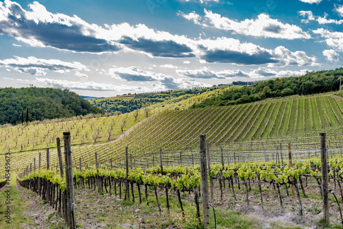 Panorama of green chianti hills in tuscany italy in spring, land of red wine and cypresses