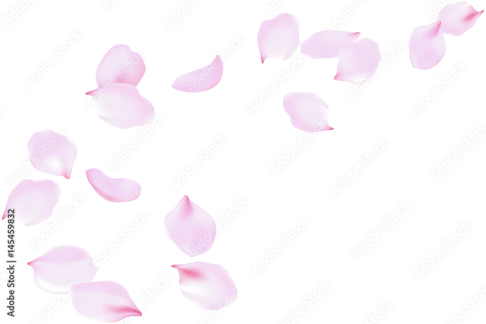 Premium Vector  Rose petals falling on pink background