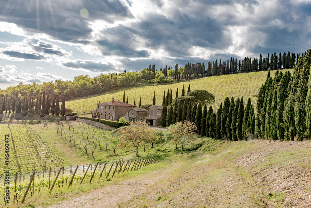 Panorama of green chianti hills in tuscany italy in spring, land of red wine and cypresses