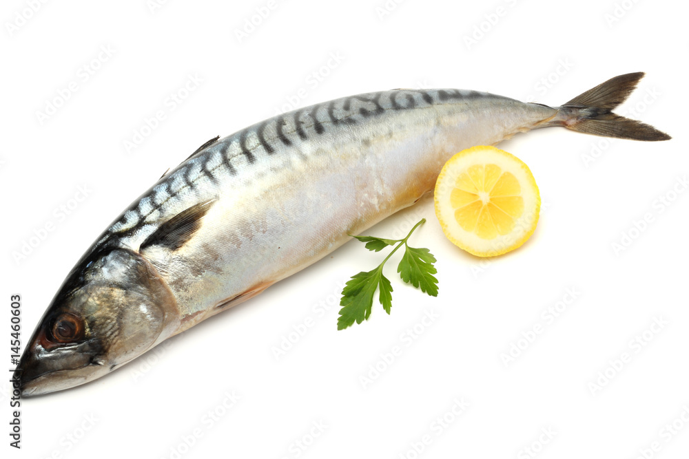 atlantic mackerel fish with lemon isolated on white background atlantic mackerel fish with lemon isolated on white background