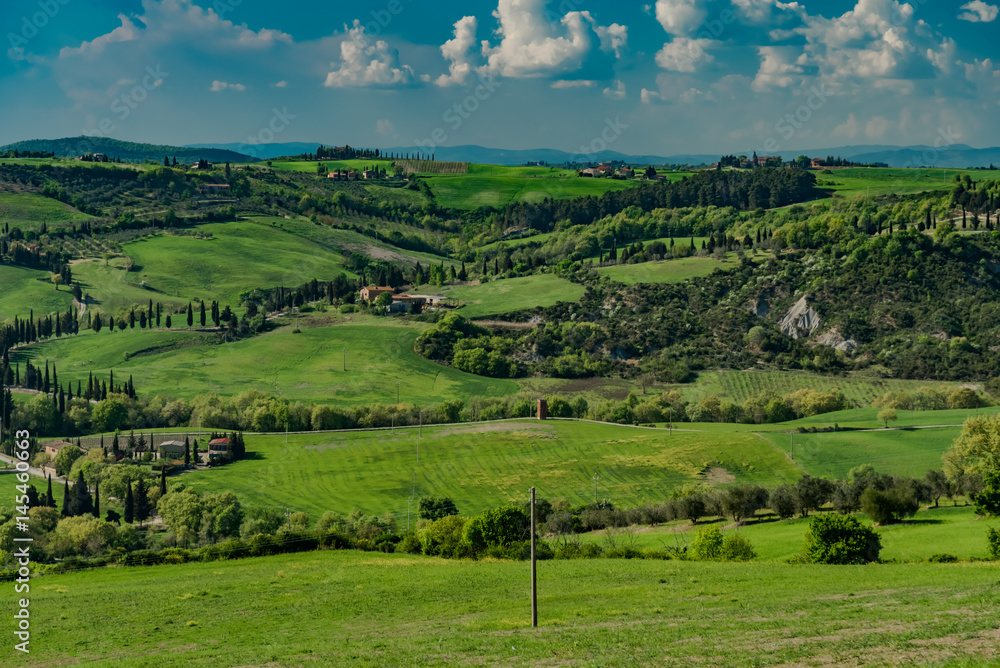 Fototapeta premium Panorama of green chianti hills in tuscany italy in spring, land of red wine and cypresses