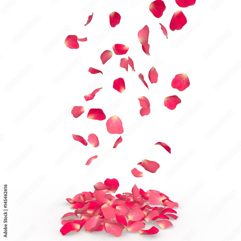 Rose petals fall to the floor Rose petals fall to the floor