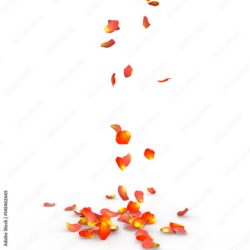 Rose petals fall to the floor Rose petals fall to the floor
