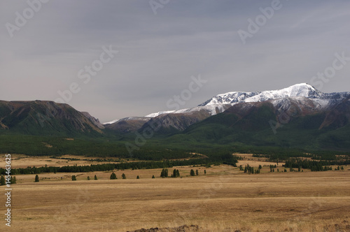High mountain ridge and snow rocks with forest from yellow grass steppe under cloudy sky. Aktru, Altai, Siberia, Russia.