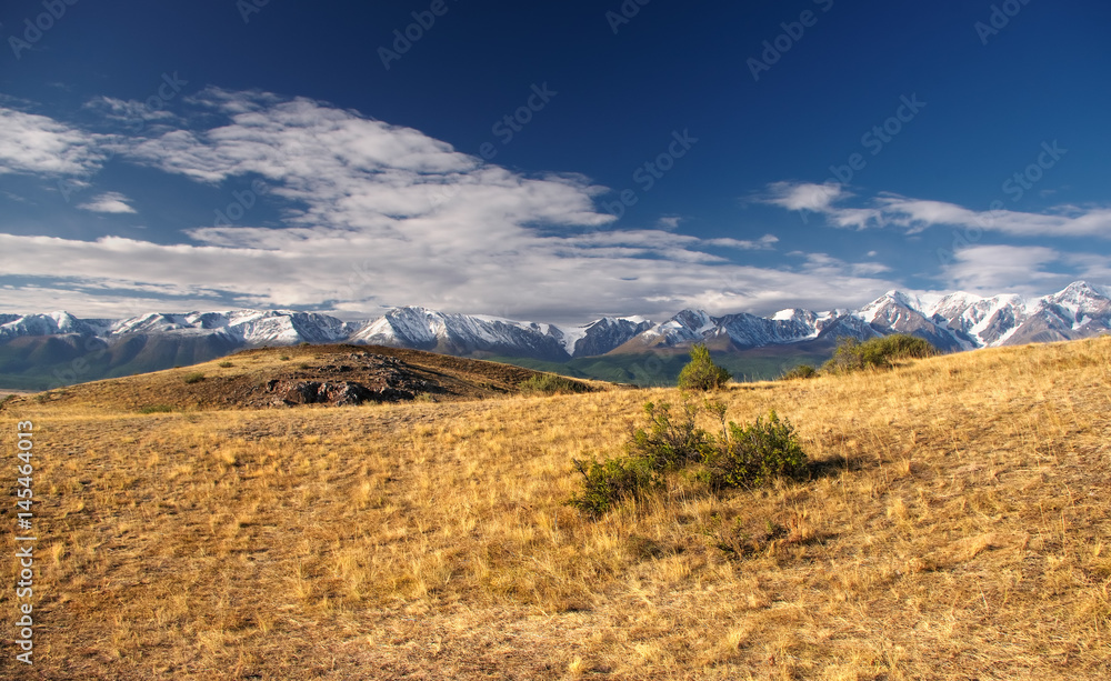 Wide panorama of hills and meadows with yellow dry grass on a background of snow ice mountain ranges and glaciers under clouds and blue sky Kurai Altai Siberia Russia