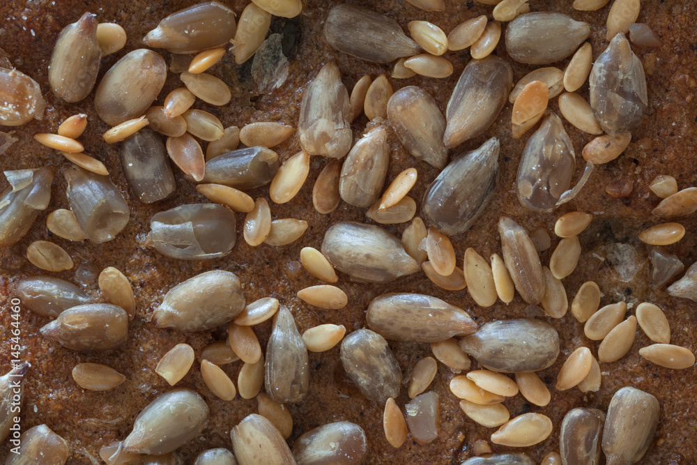 Macro of a bread with seads, top part