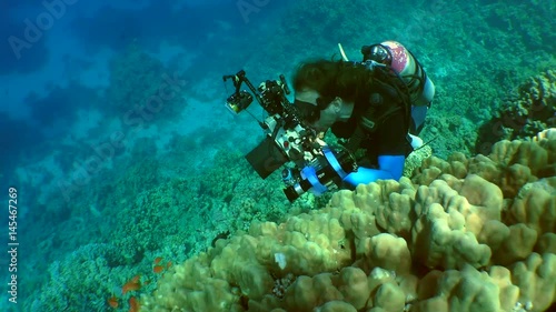 Underwater photographer photographs on a coral reef, close-up.
 photo