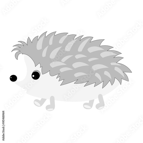 The grey hedgehog closeup on white background