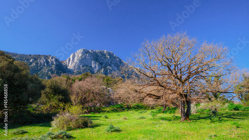 Hiking in the lovely green spring hills if Sicily in April