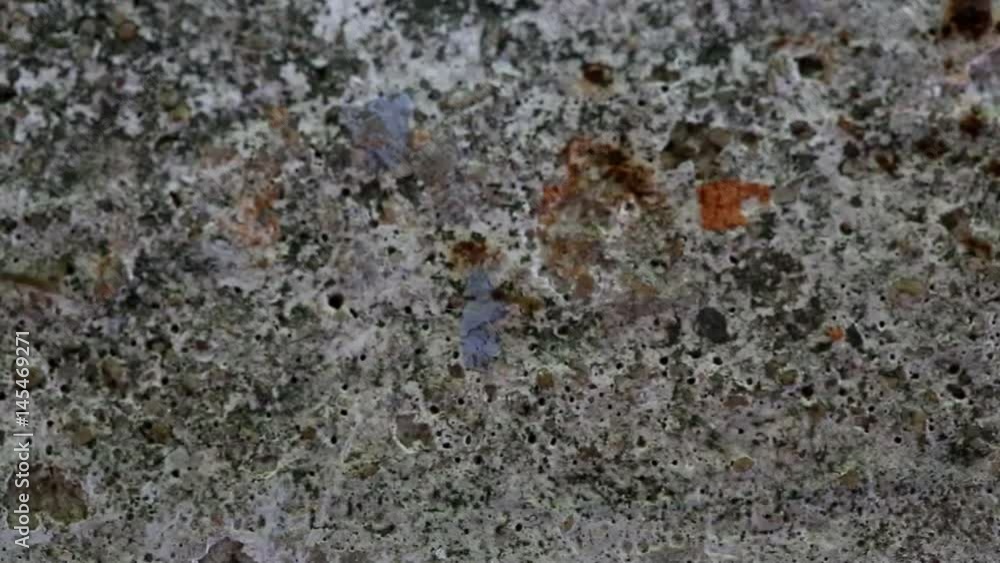 Concrete floor where the ants walk. Concrete floor where the ants walk.