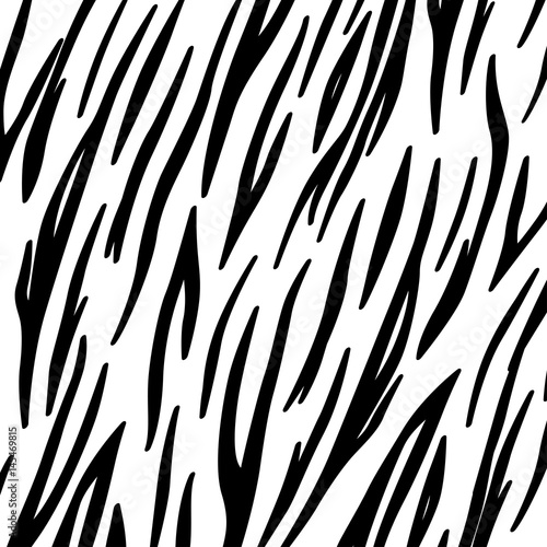 zebra skin background