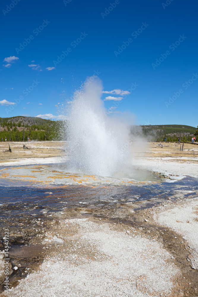 Geyser