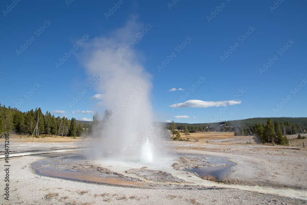 Geyser Geyser