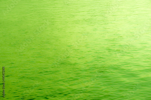 Bright green water background. Green water background image.