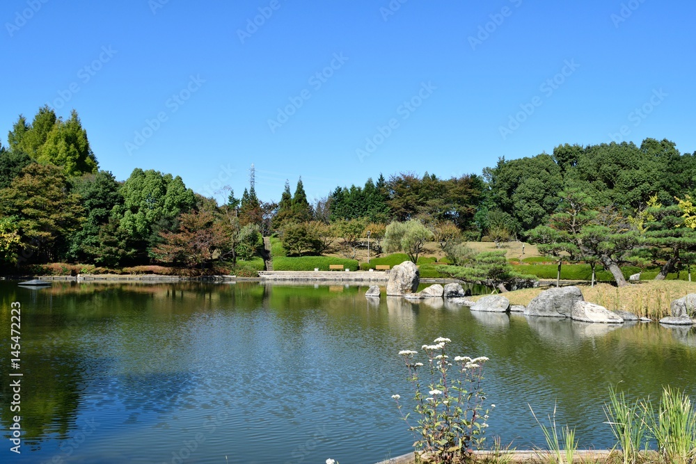 Fototapeta premium 日本庭園