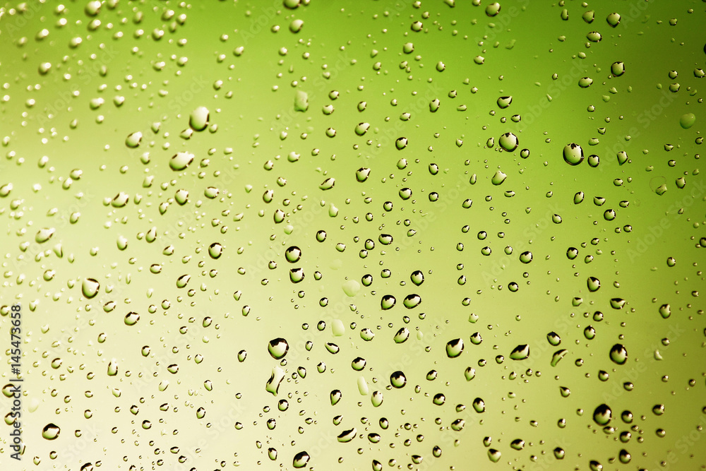 Water drops background. Droplets on a green background