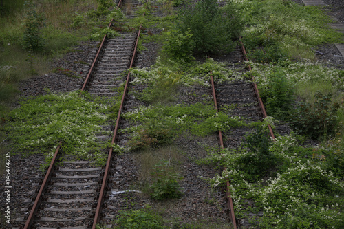 stillgelegte bahngleise die mit pflanzen überwuchert sind