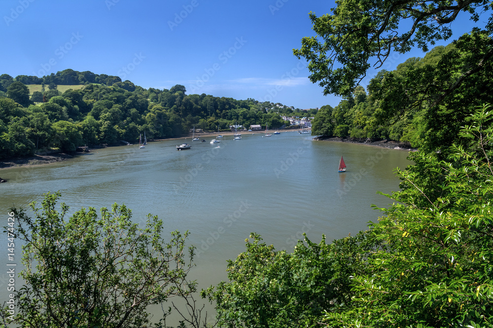 View from the hill to the Dart River next to Dittisham. Clear day. Summer. Devon. UK