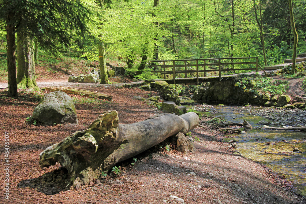 Obraz premium Verenaschlucht, Solothurn, Schweiz