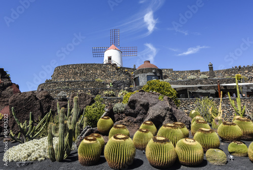 Photo Beautifully designed cactus garden on Lanzarote, Canary Islands