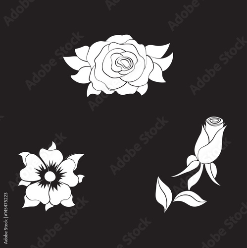 flower rose