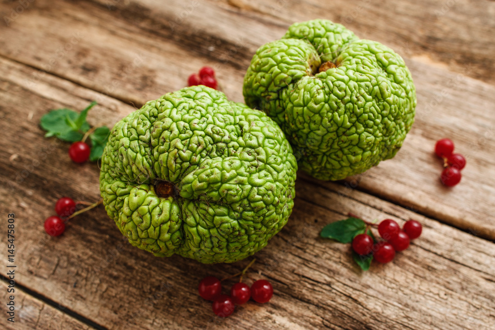 Top view on green exotic fruits with red berries. Osage apples or Maclura pomifera with viburnum and leaves on old grungy wooden table, bright sumer composition
