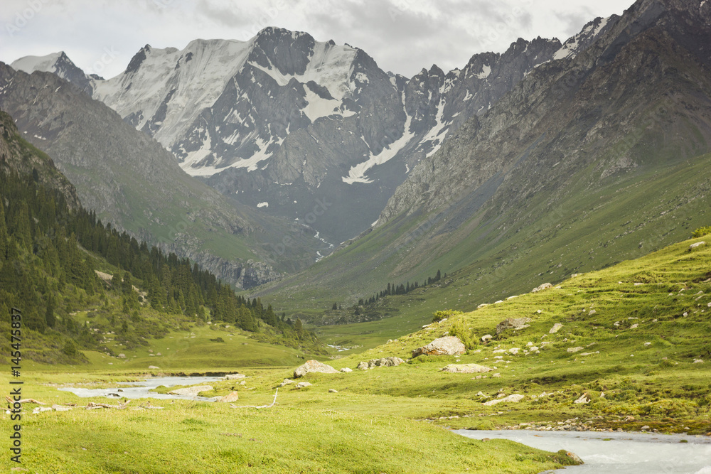 river valley with snow-covered mountains and green fields and forest on slopes