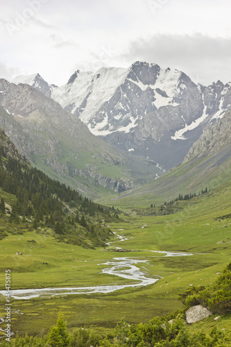 river valley with snow-covered mountains and green fields and forest on slopes © sergeyonas