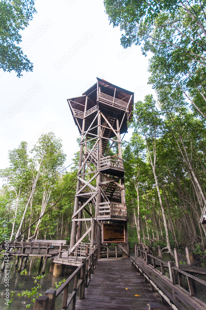Wooden tower in mangrove forest