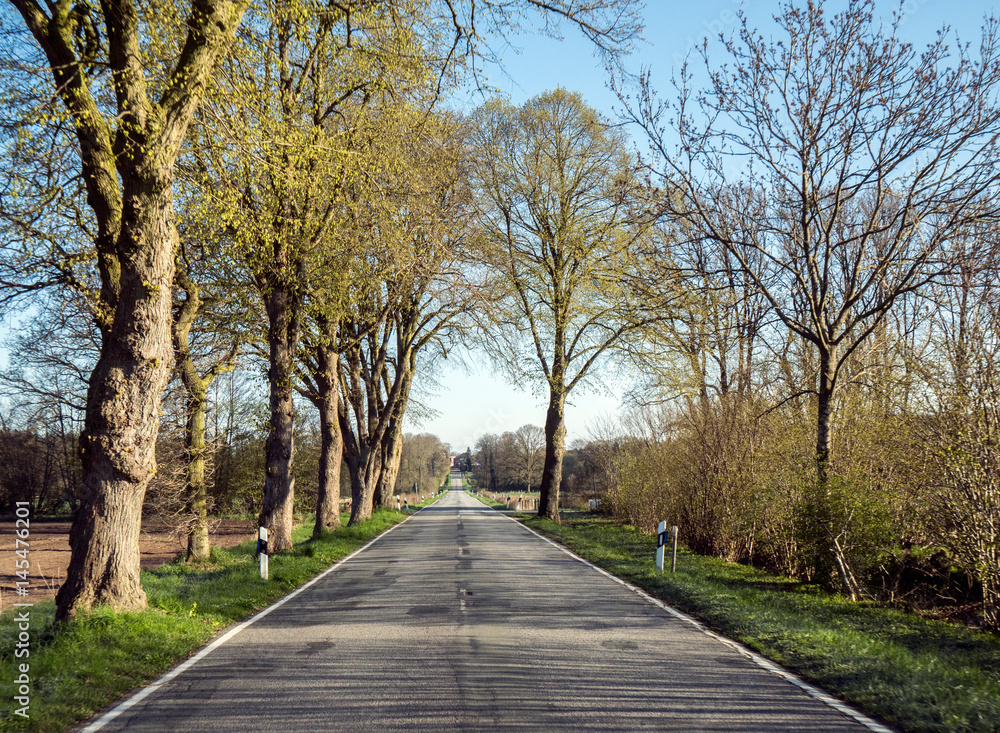 auf einer schönen Landstrasse im Frühling unterwegs