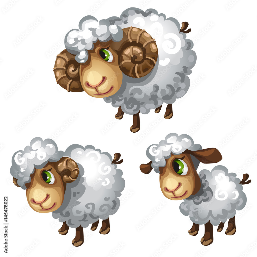 Obraz premium White sheep. Vector animal