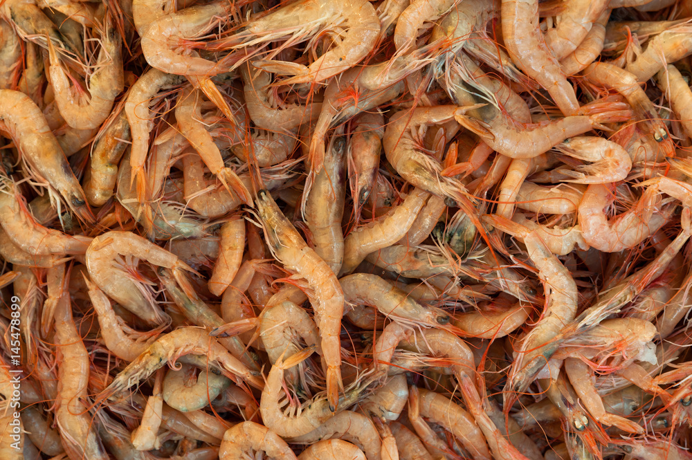Shrimps Shrimps