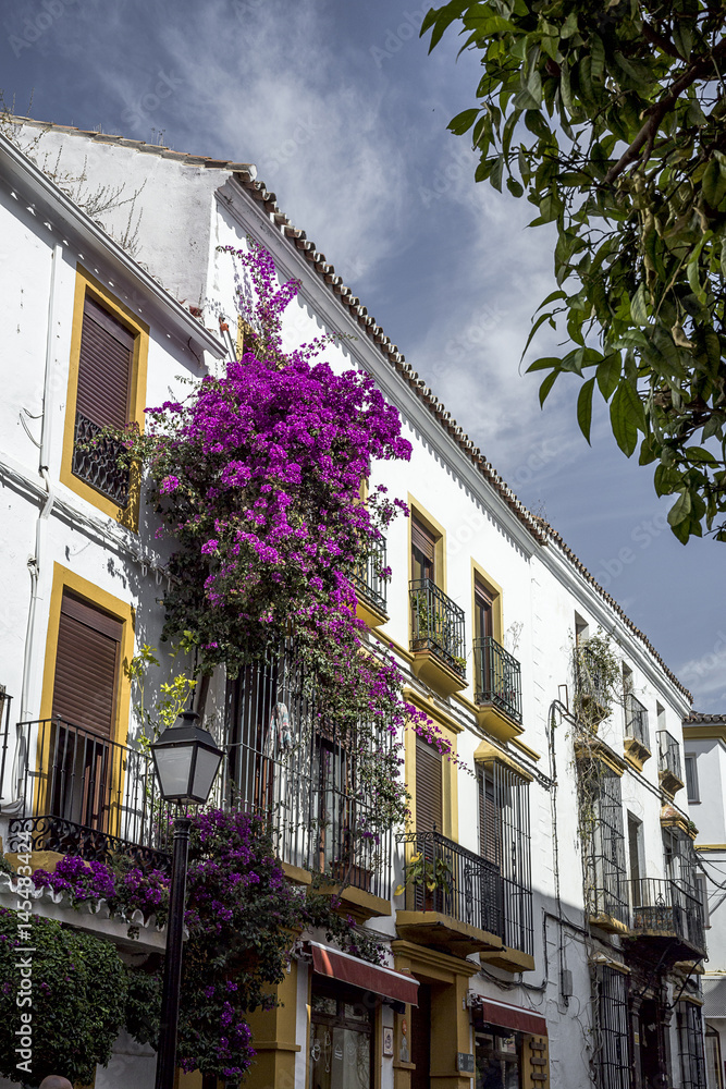 Streets, corners and details of marbella.Spain