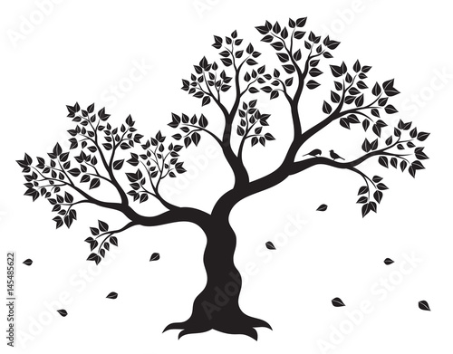 Vector illustration of tree with leaves and two birds in black colour on white background. Wall sticker.