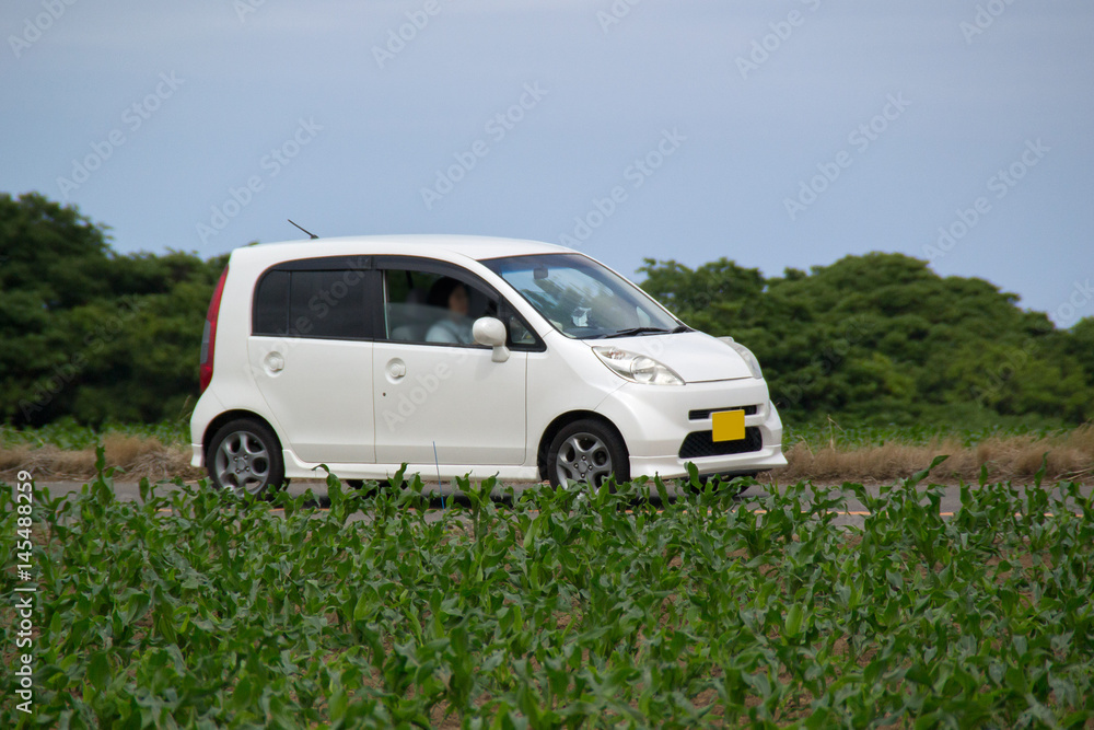 ドライブ 軽自動車 ドライブ 軽自動車