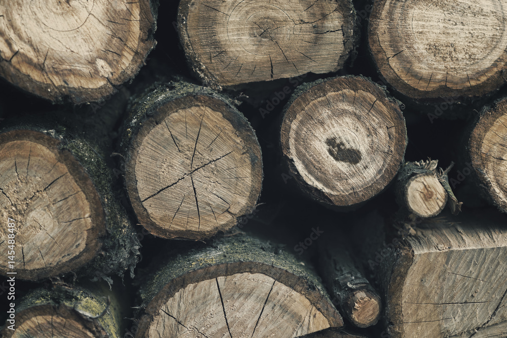 A pile of stacked firewood. Preparation for winter season. Background A pile of stacked firewood. Preparation for winter season. Background