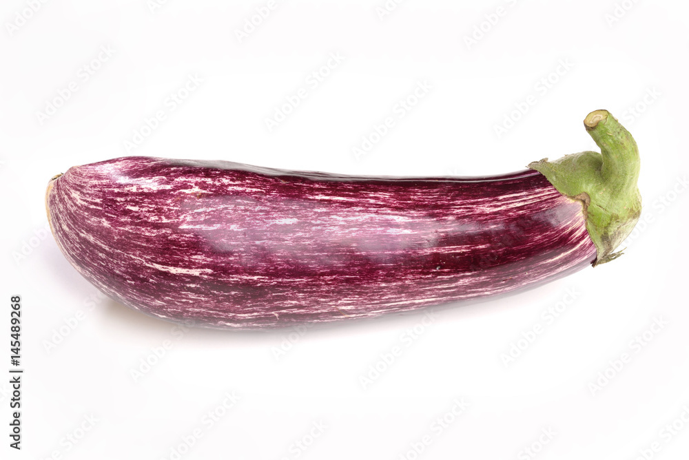 custom made wallpaper toronto digitalMelanzane zebra violet