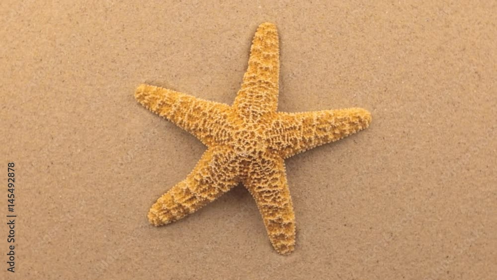 Rotation of a yellow starfish lying on the sand. Rotation of a yellow starfish lying on the sand.