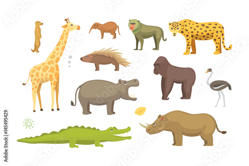 Fototapeta Naklejka Na Ścianę i Meble -  African animals cartoon vector set. safari isolated illustration.